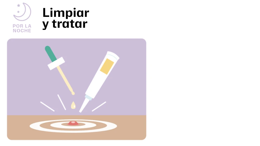 Por la noche: Limpiar y tratar